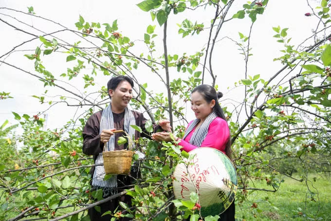 Tây Ninh phát triển du lịch trải nghiệm gắn nông nghiệp số